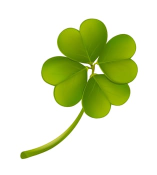 Leaf clover on a white background. Green clover leaf.