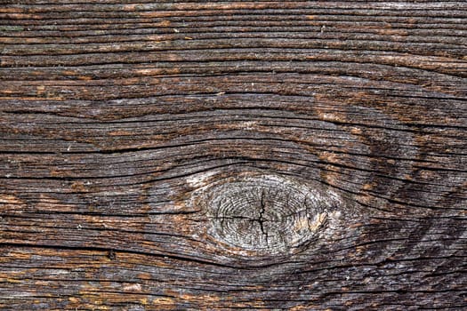 texture / background - gray brown old wooden ground