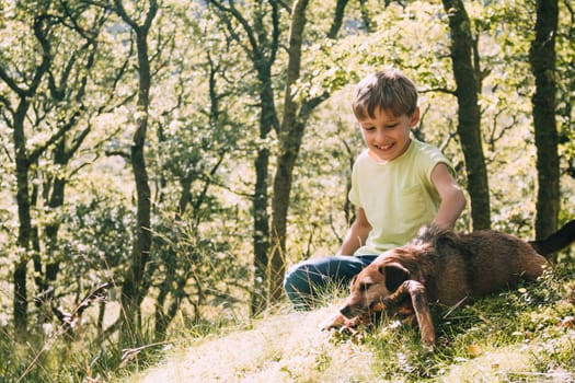 Little boy is sitting in the woodlands with his dog, stroking him in the sunshine.