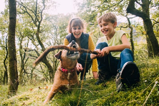 Little boy and his grandmother are playing with their pet dog in the woods with a stick.