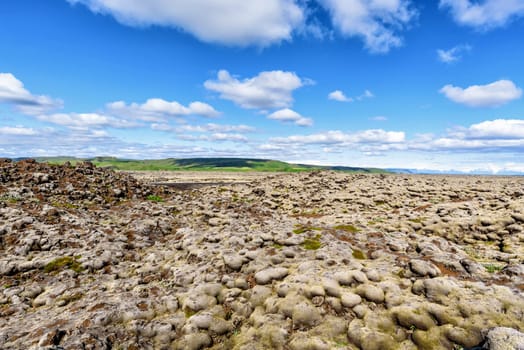 Lava field covered with moss on rocks in summer with blue sky, Iceland
