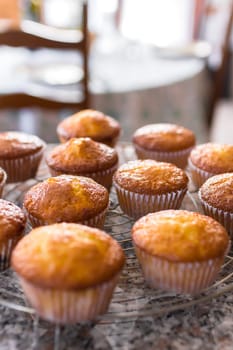 Batch of homemade freshly baked cupcakes or muffins cooling on a wire rack in the kitchen in a close up view with selective focus. Defocused blurry background. Behind the blurred background, an old wooden kitchen table