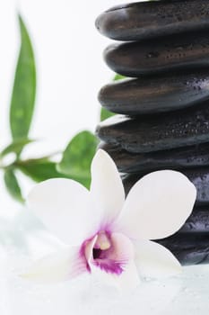 Black zen stones with orchid and bamboo leaves