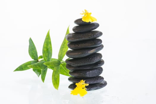 Black zen stones with Oncidium orchids and bamboo leaves