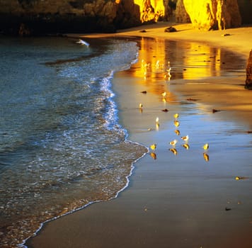Beach in Algarve, Portugal