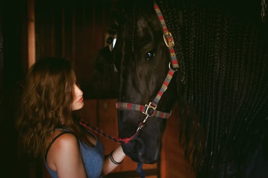 woman horseman cleans from dirt with brush Friesian horse in stables on farm, taking care of purebred pets