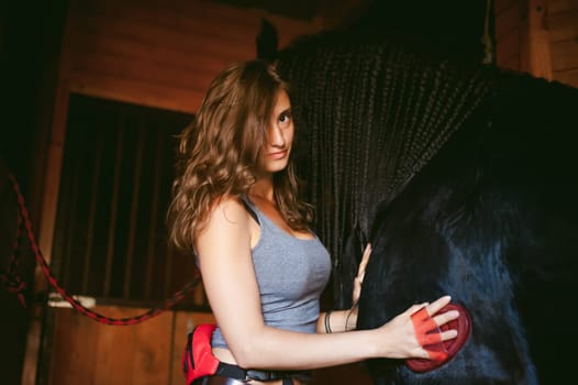 woman horseman cleans from dirt with brush Friesian horse in stables on farm, taking care of purebred pets