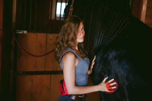 woman horseman cleans from dirt with brush Friesian horse in stables on farm, taking care of purebred pets