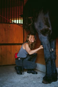 woman horseman cleans from dirt with brush Friesian horse in stables on farm, taking care of purebred pets