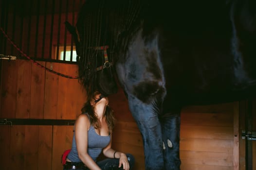 woman horseman cleans from dirt with brush Friesian horse in stables on farm, taking care of purebred pets