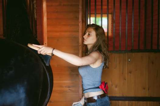 woman horseman cleans from dirt with brush Friesian horse in stables on farm, taking care of purebred pets