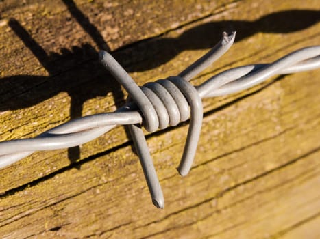 close up of of sharp barbed wire metal on wooden gate  essex  england  uk