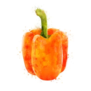 Isolated hand-painted illustration on a white background
