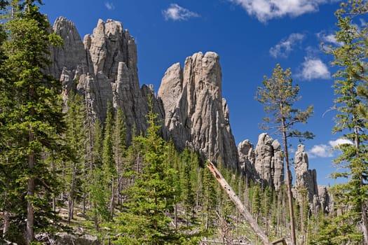 Distinctive Crags Over an Alpine Valley in the Needles of Custer State Park in the Black Hills of South Dakota