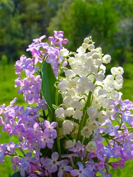 Bright colorful bouquet of wild natural flowers