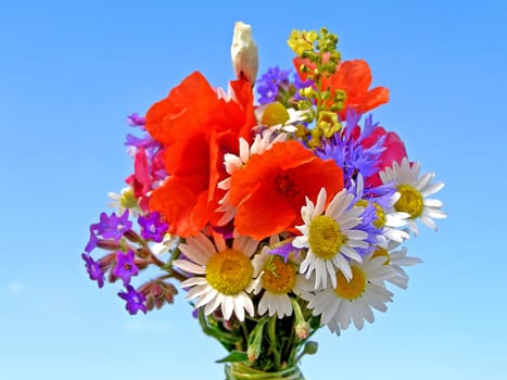 Bright colorful bouquet of garden and wild natural flowers
