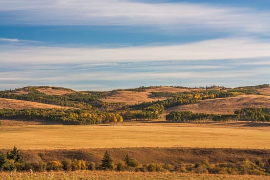 Seasonal autumn landscape of the foothills of Alberta, Canada.