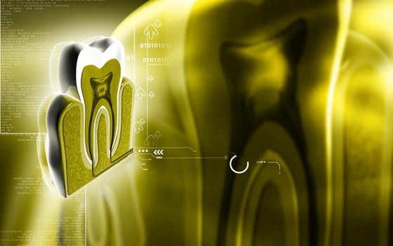 Digital illustration of teeth cross section in colour background