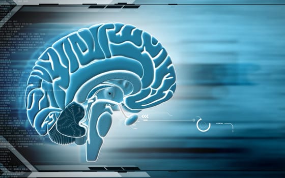 Digital illustration of brain in colour background
