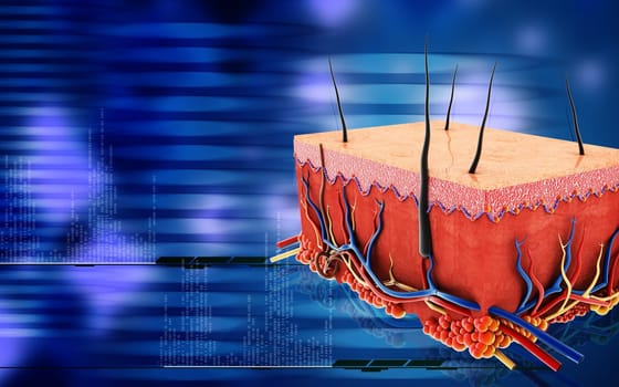 Digital illustration of Skin in colour background