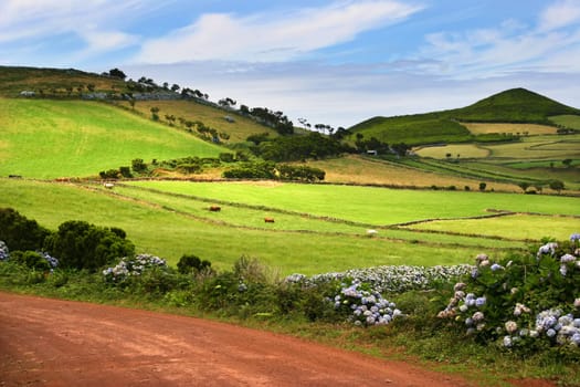 big red road in sao jorge island, azores