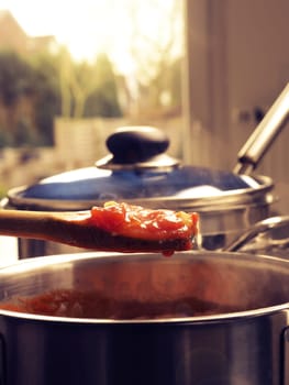 Cooking tasty tomato sauce with garlic onions and spicy herbs