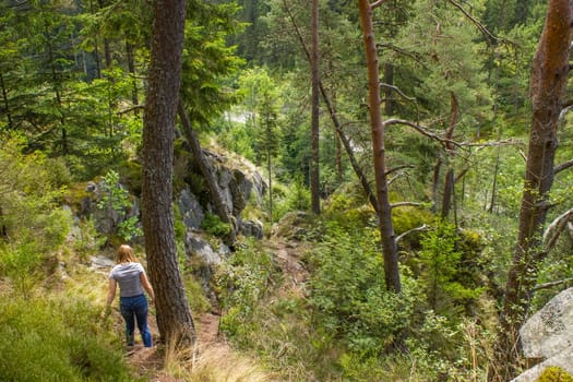 Black Forest in Germany
