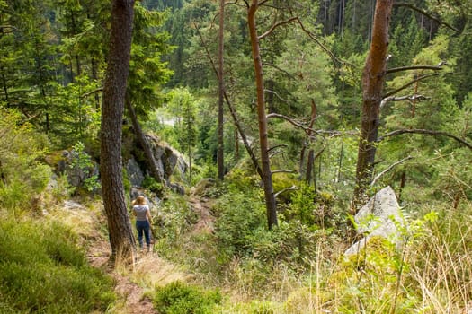 Black Forest in Germany