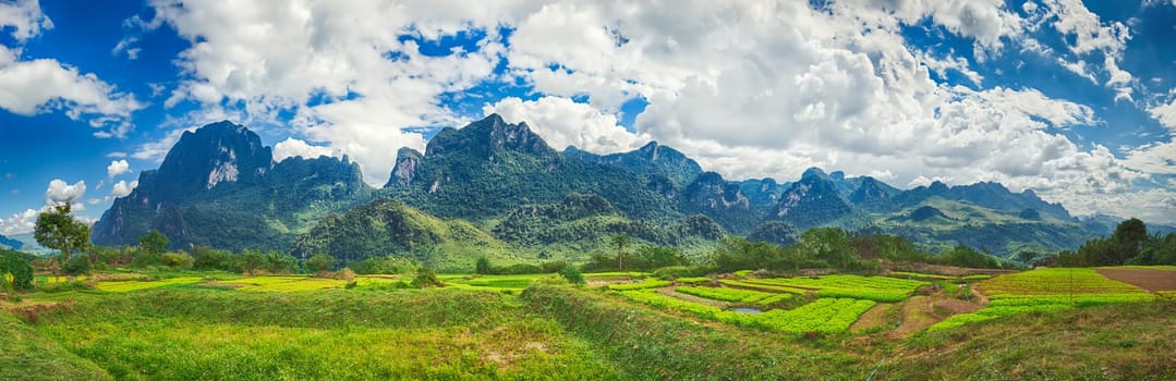 Fields and mountains. Beautiful rural landscape. Vang Vieng, Laos. Panorama