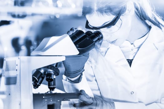 Life scientists researching in laboratory. Attractive female young scientist microscoping in their working environment. Healthcare and biotechnology. Greyscale blue toned image.