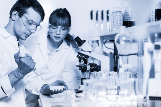 Young male researcher pipetting serum in multi well plate in life science laboratory. Female asistant science student watching and learning the protocol. Greyscale blue toned image.