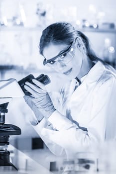 Life scientists researching in laboratory. Attractive female young scientist microscoping in their working environment. Healthcare and biotechnology. Greyscale blue toned image.