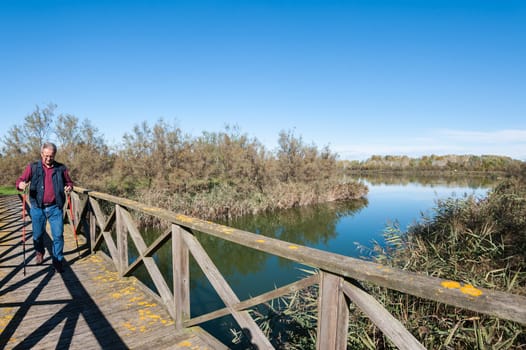Hiker (60 years old) on a wooden footbridge on the river. Front view