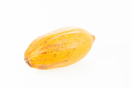 Fresh Cocoa Pod