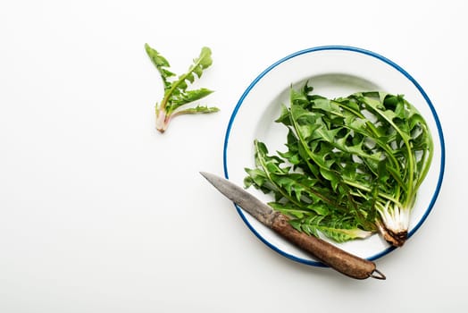 Fresh dandelion leaves on white background overhead shoot