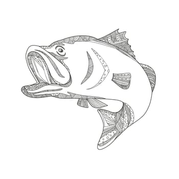 Doodle art illustration of a barramundi or Asian sea bass (Lates calcarifer), a species of catadromous fish jumping in black and white done in mandala style.