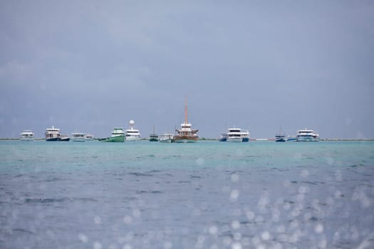 Holiday Paradise