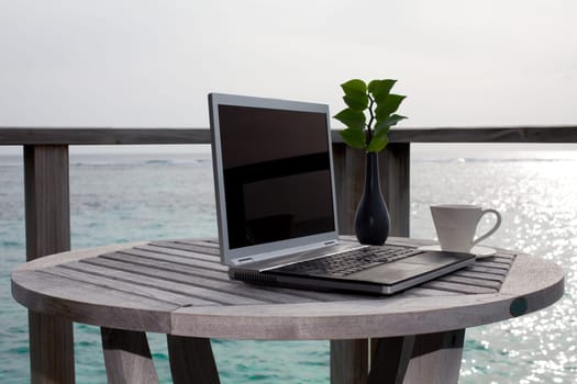 Work in Paradise