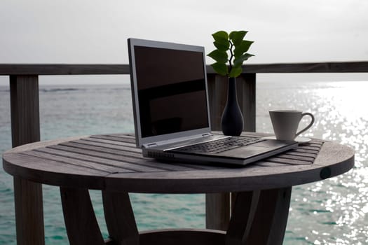 Work in Paradise