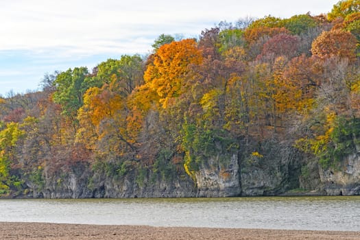 Fall Colors on a Cliff along a the Cedar River in Palisades-Kepler State Park in Iowa