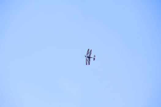 Stampe biplane performing aerobatics in the sky of the Mende airfield in the French department of Gard