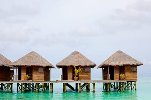 Holiday paradise