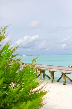 Holiday paradise