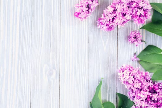 Purple lilac flowers on wooden table background