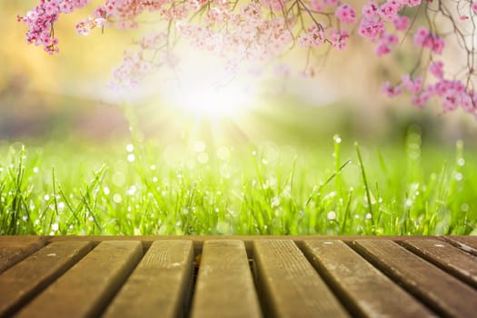 Spring flowers and wooden deck in morning sunlight background