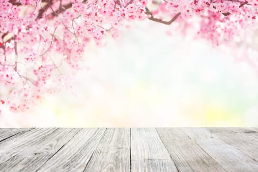 Spring tree blossom garden background