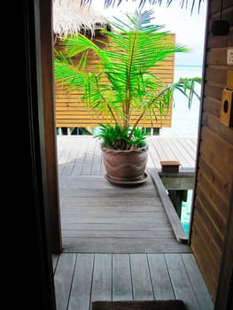Holiday Paradise