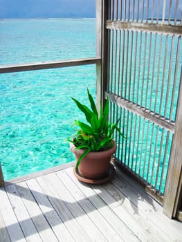 Holiday Paradise