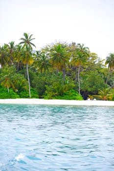 Holiday Paradise