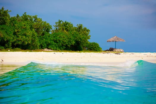 Holiday Paradise